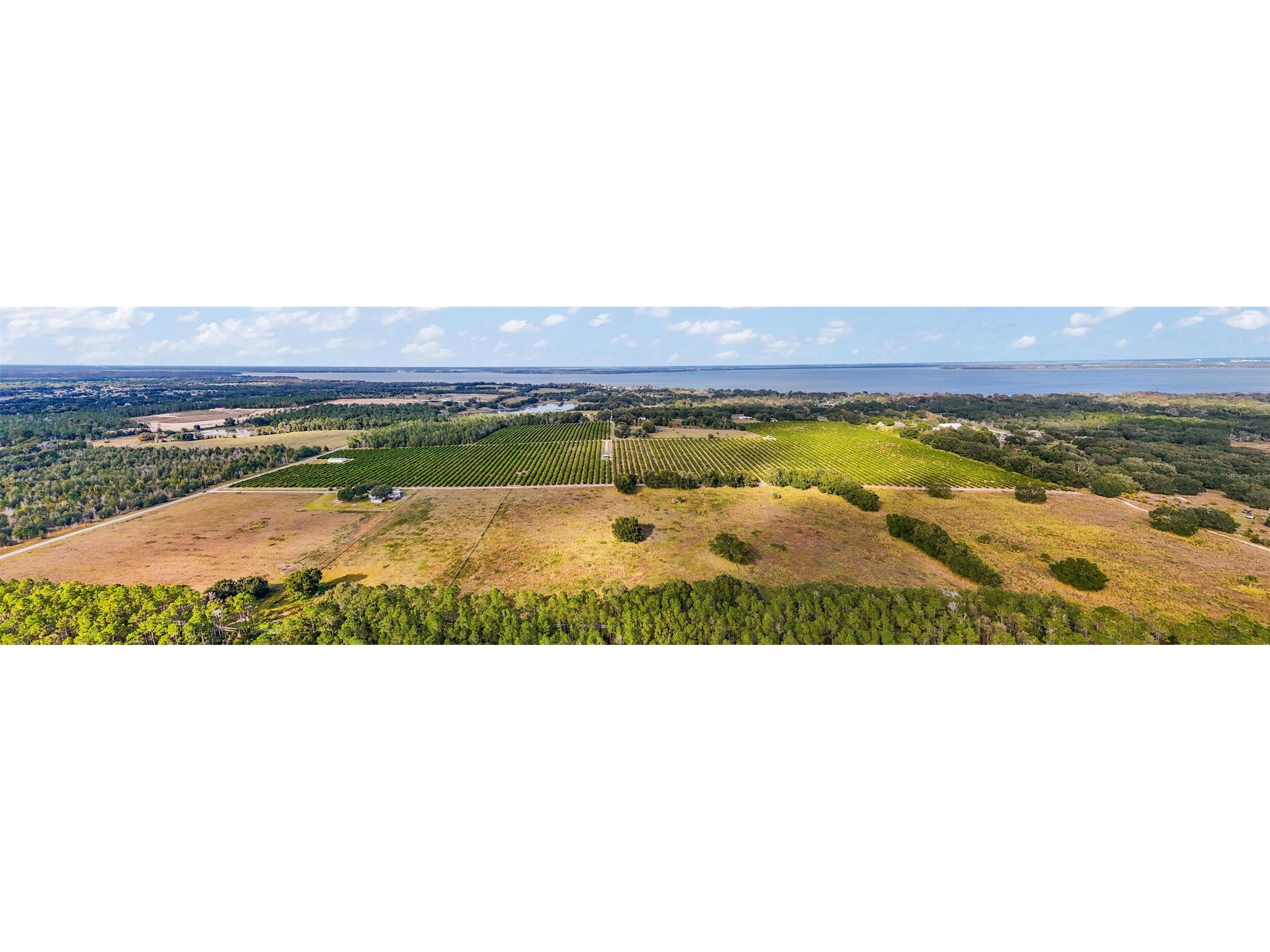 7285 Number 2 Road Howey In The Hills FL 34737 G5077350 image6