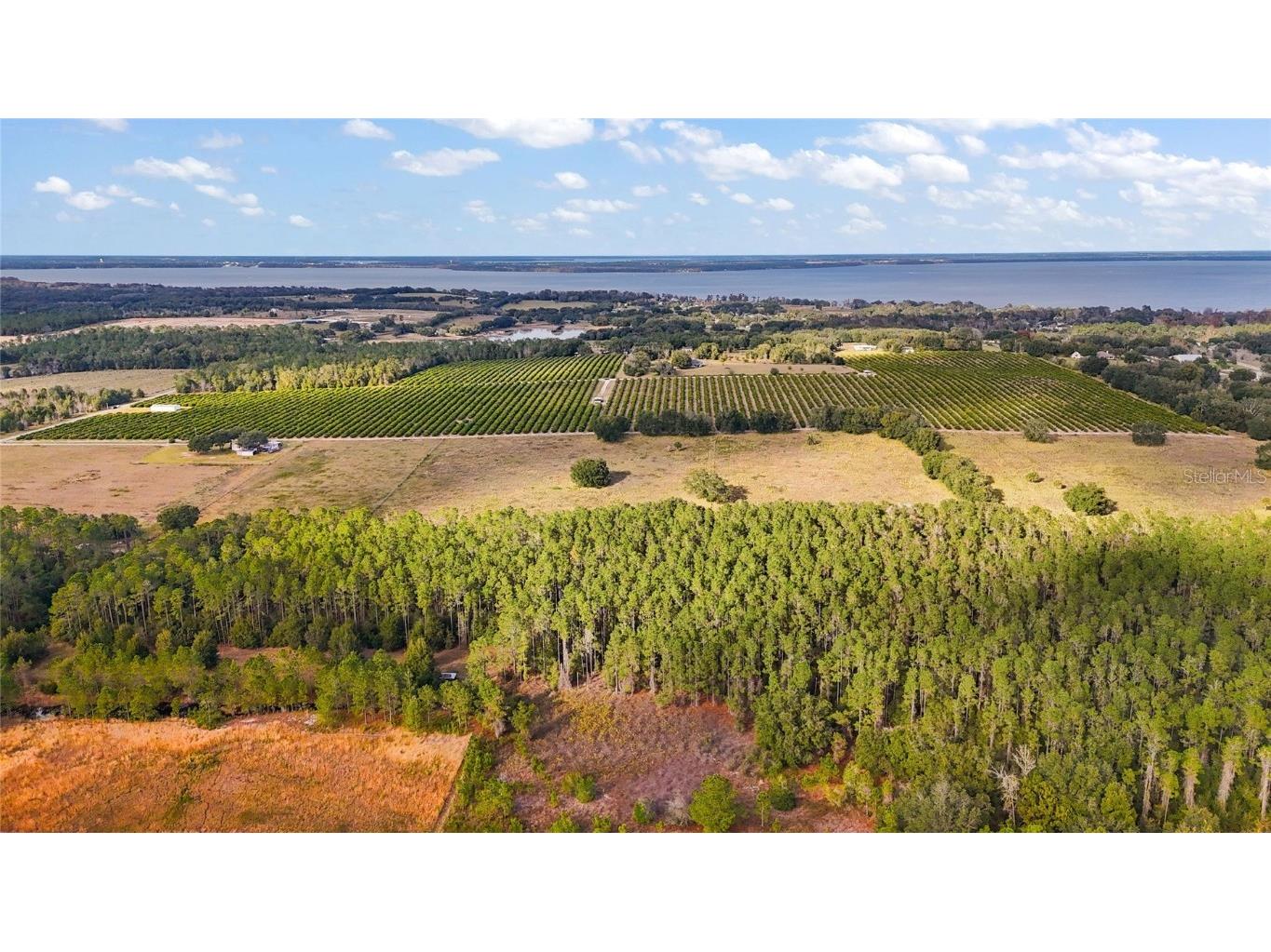 7285 Number 2 Road Howey In The Hills FL 34737 G5077350 image7