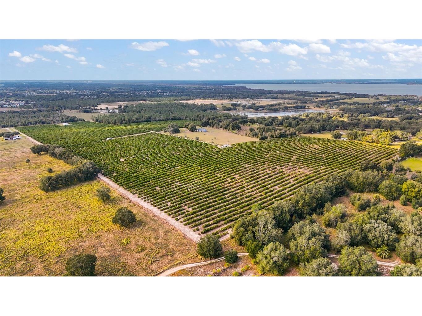 7285 Number 2 Road Howey In The Hills FL 34737 G5077350 image8