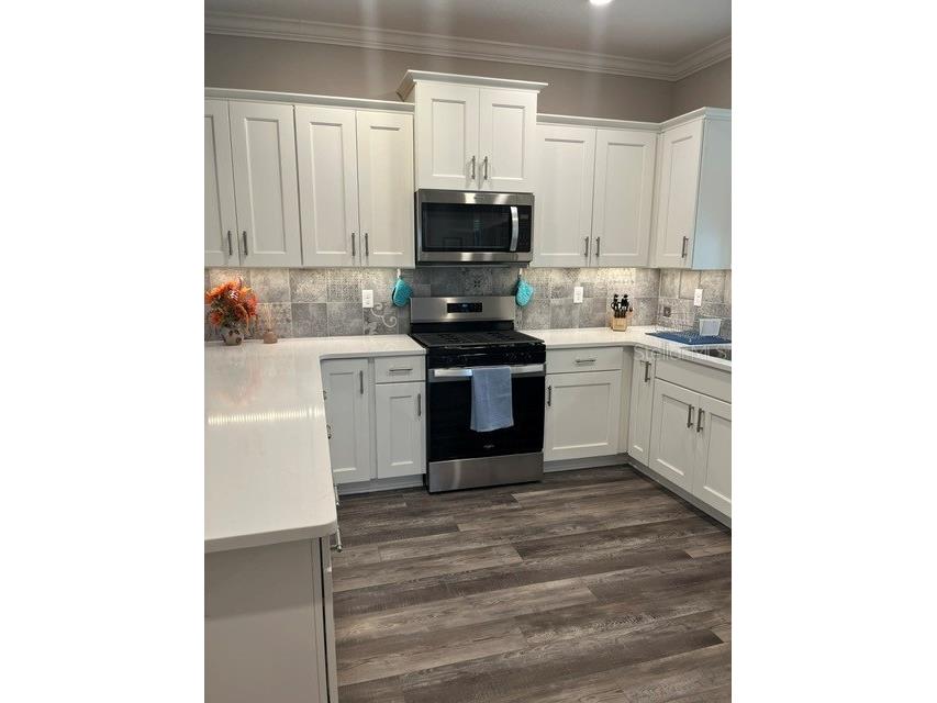 7285 SW 86th Court Ocala FL 34481 OM728559 image6