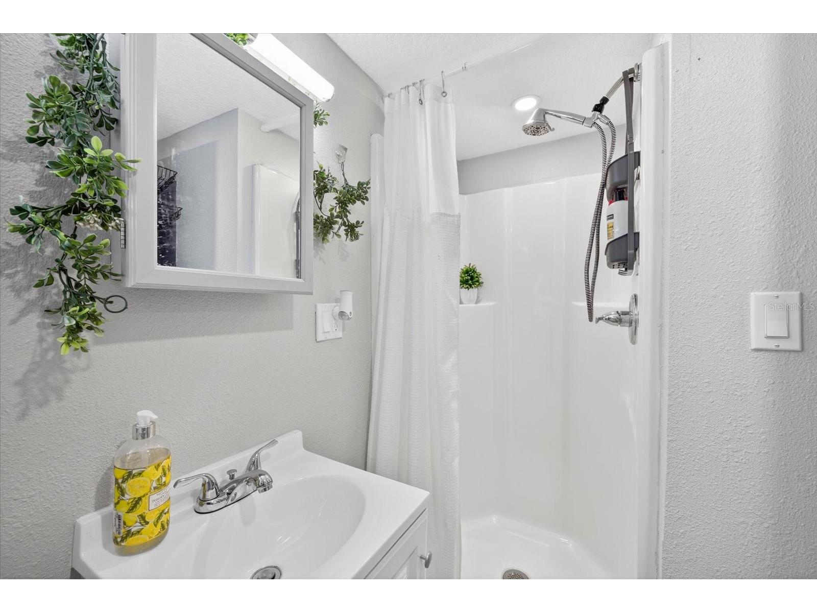 7286 Aberdeen Court Weeki Wachee FL 34607 - WEEKI WACHEE RIVER TB8476433 image15