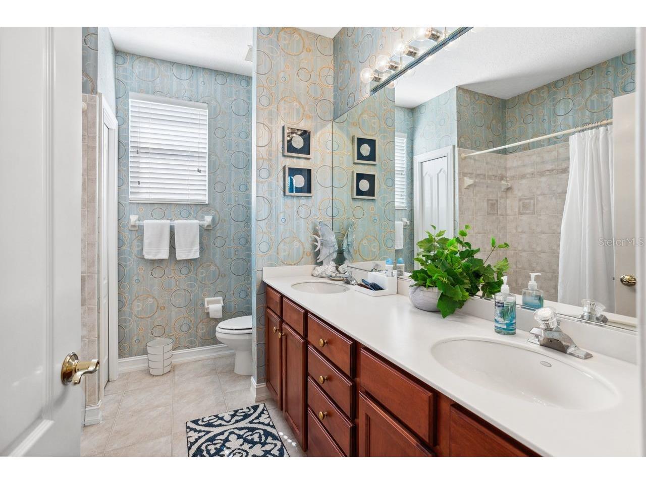 7286 Maidencane Court Seminole FL 33777 TB8502301 image26