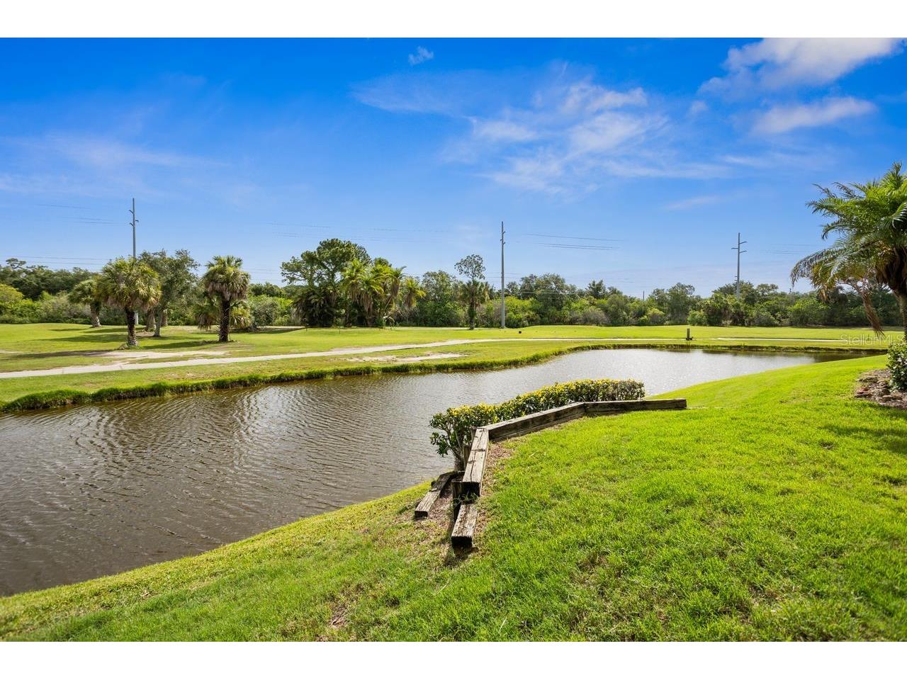 7286 Maidencane Court Seminole FL 33777 TB8502301 image39