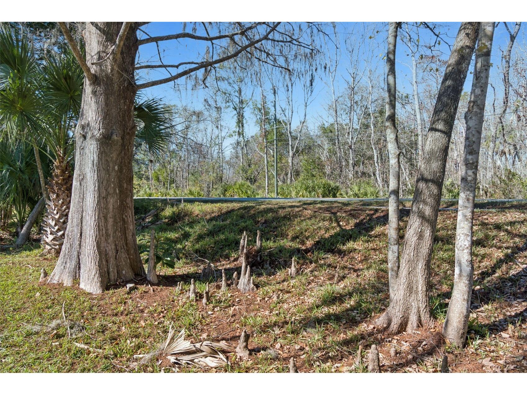 7287 Aberdeen Court Weeki Wachee FL 34607 - WEEKI WACHEE RIVER W7882316 image36