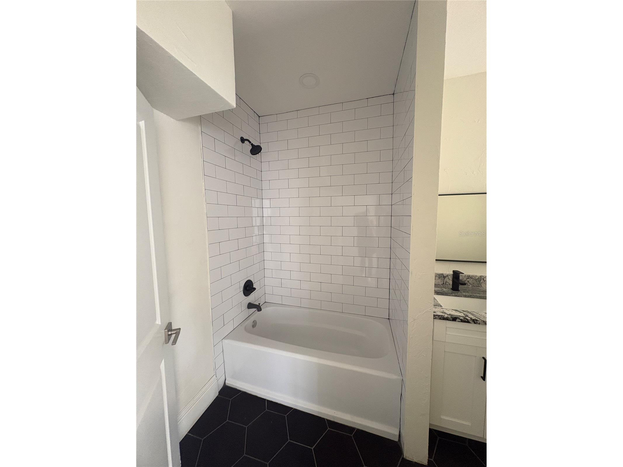 729 E Palmetto Street #1 Lakeland FL 33801 L4963392 image14