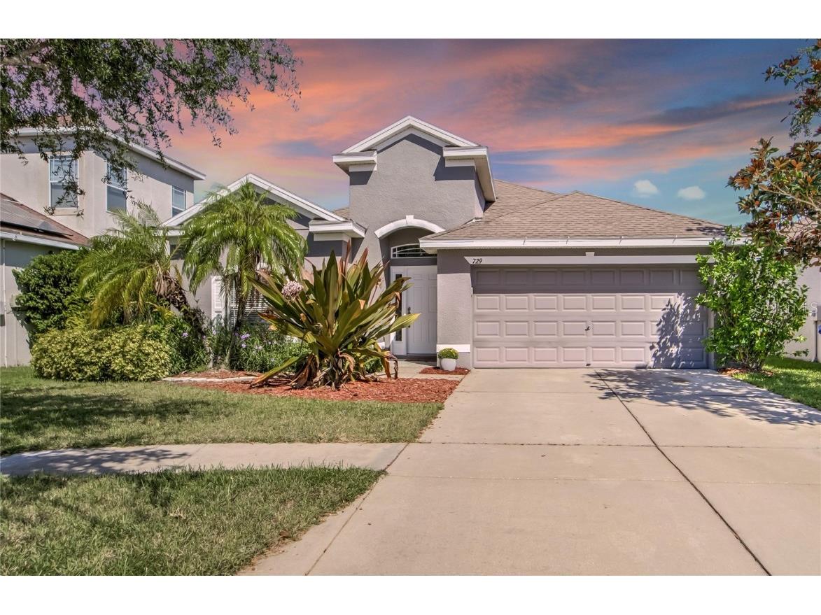 729 Griffen Heights Court Ruskin FL 33570 T3332162 image1