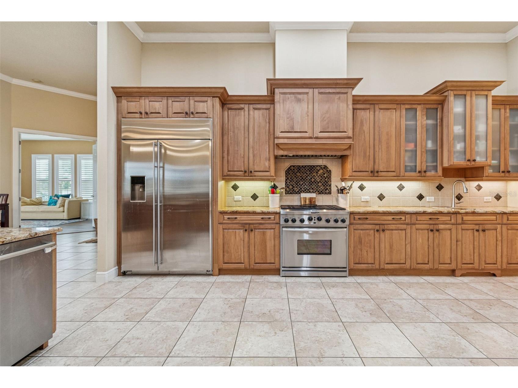 729 Manns Harbor Drive Apollo Beach FL 33572 TB8464843 image14