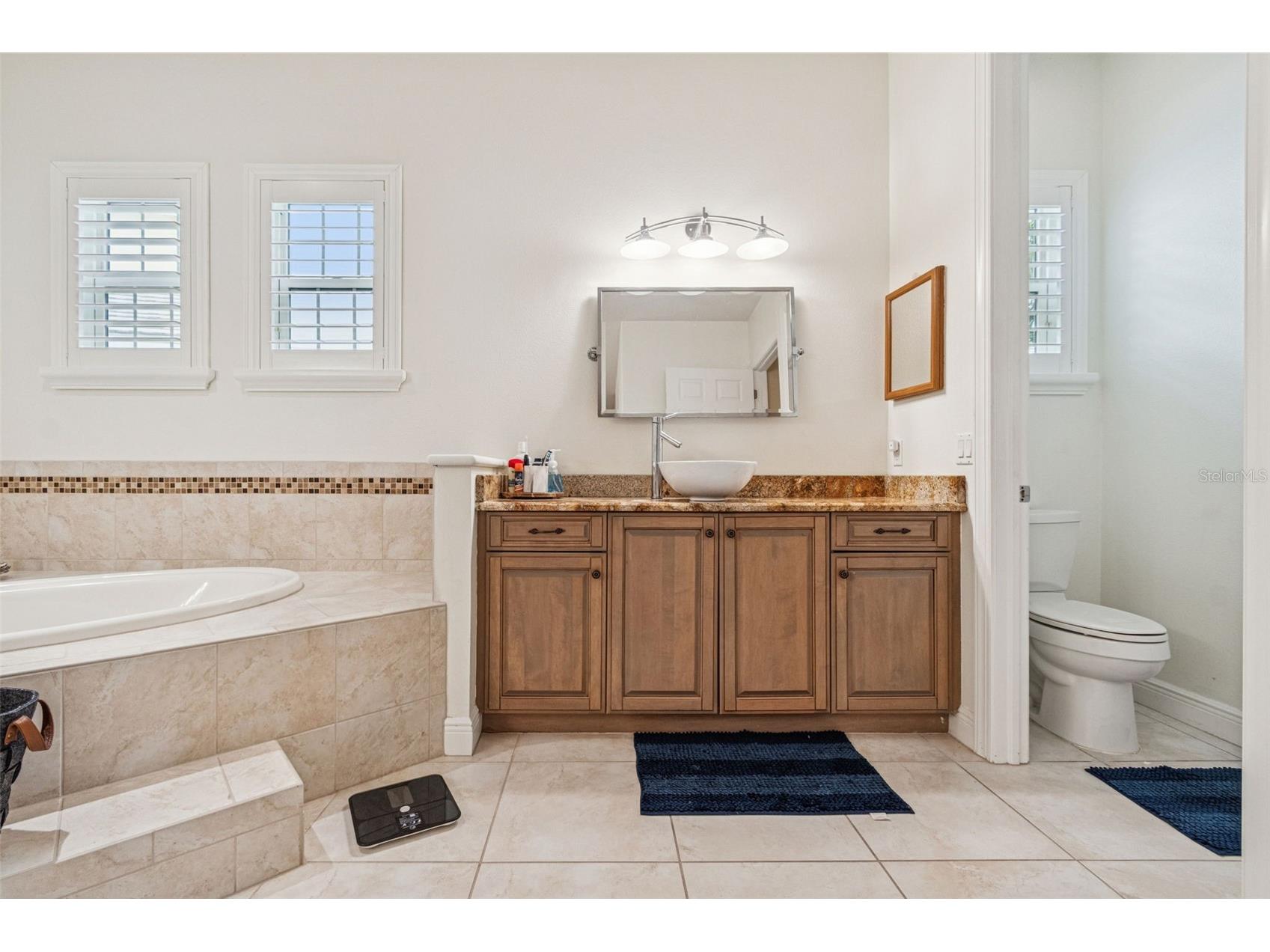 729 Manns Harbor Drive Apollo Beach FL 33572 TB8464843 image30