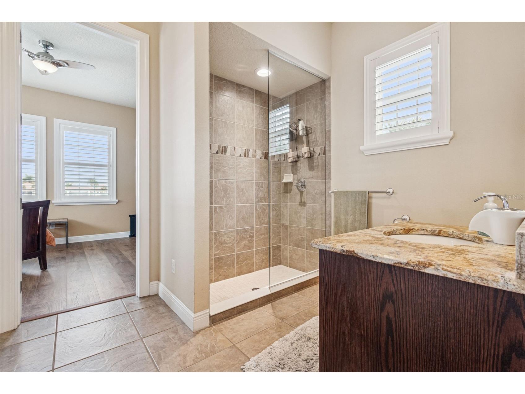 729 Manns Harbor Drive Apollo Beach FL 33572 TB8464843 image38