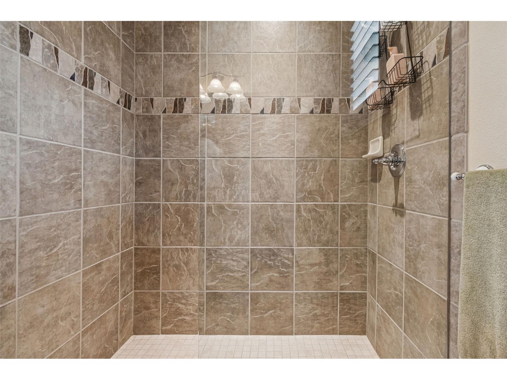 729 Manns Harbor Drive Apollo Beach FL 33572 TB8464843 image40