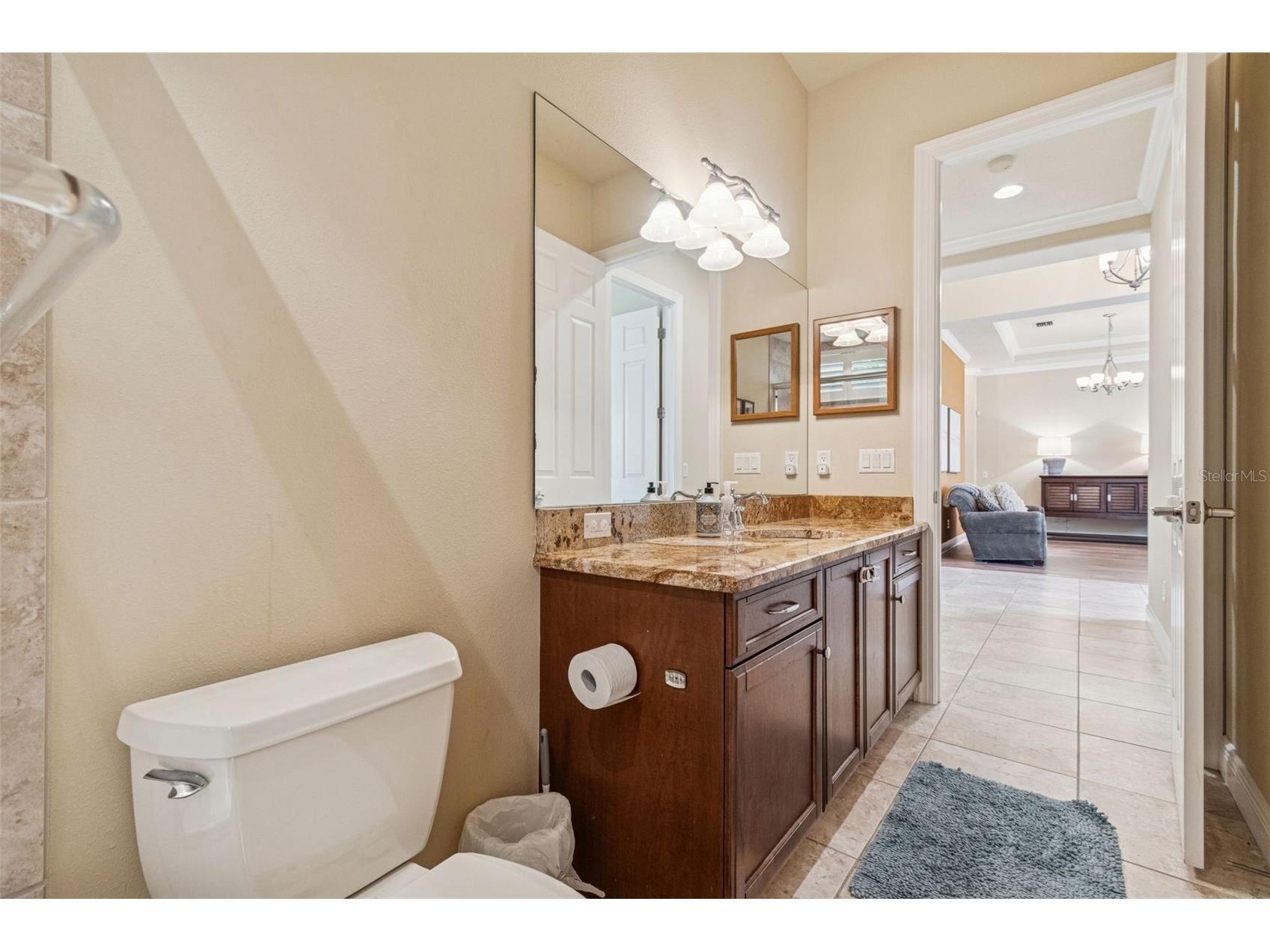 729 Manns Harbor Drive Apollo Beach FL 33572 TB8464843 image43