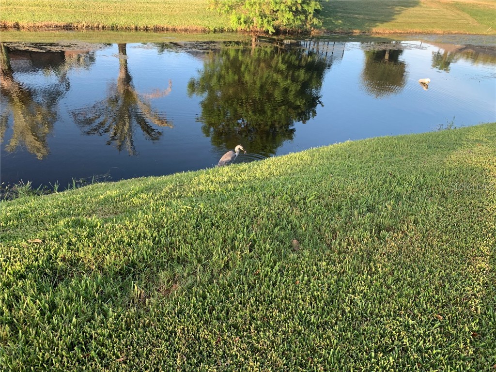 729 Rotonda Circle Rotonda West FL 33947 R4906429 image1