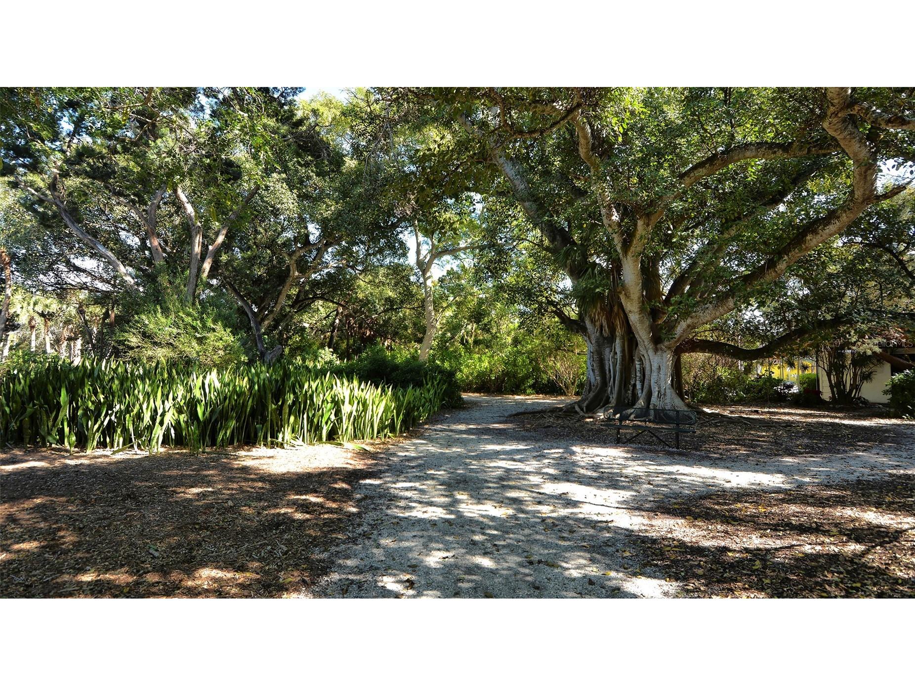 729 Saint Judes Drive S #3 Longboat Key FL 34228 A4685189 image67
