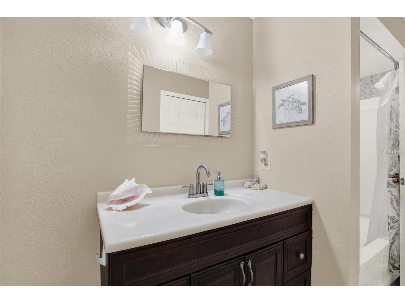 729 Sandy Creek Drive Brandon FL 33511 TB8478796 image25