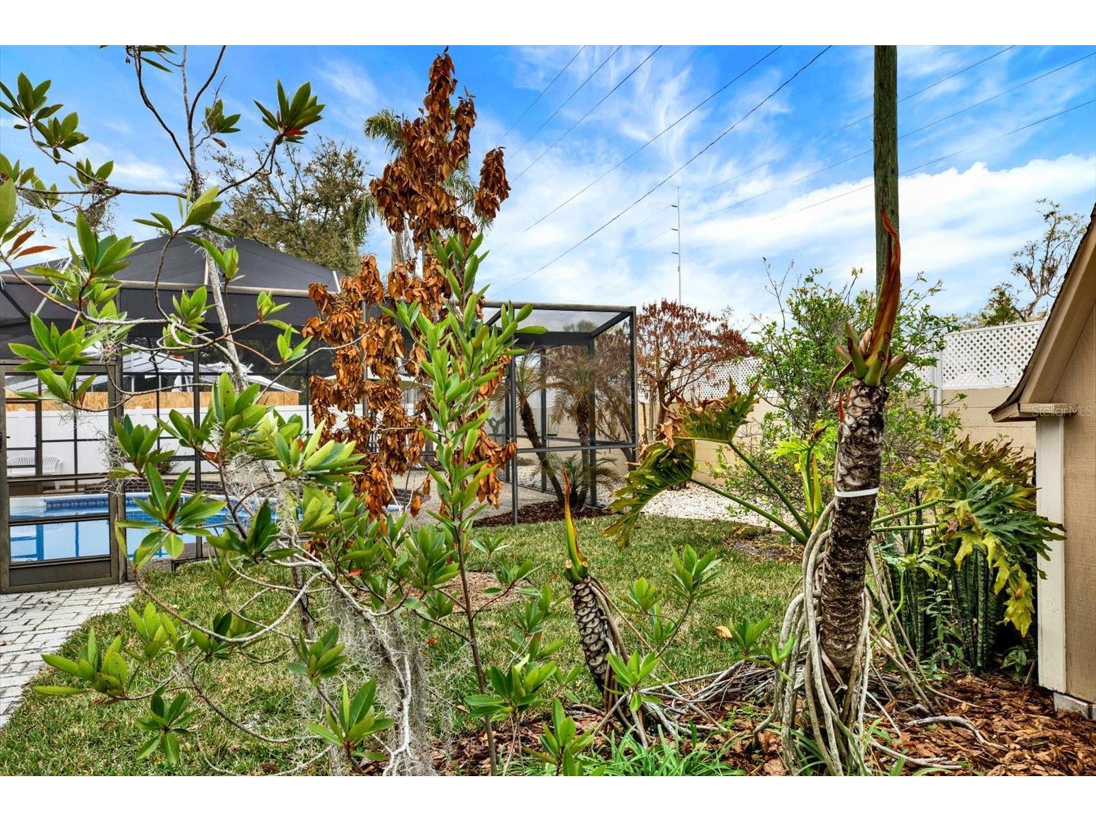 729 Sandy Creek Drive Brandon FL 33511 TB8478796 image29