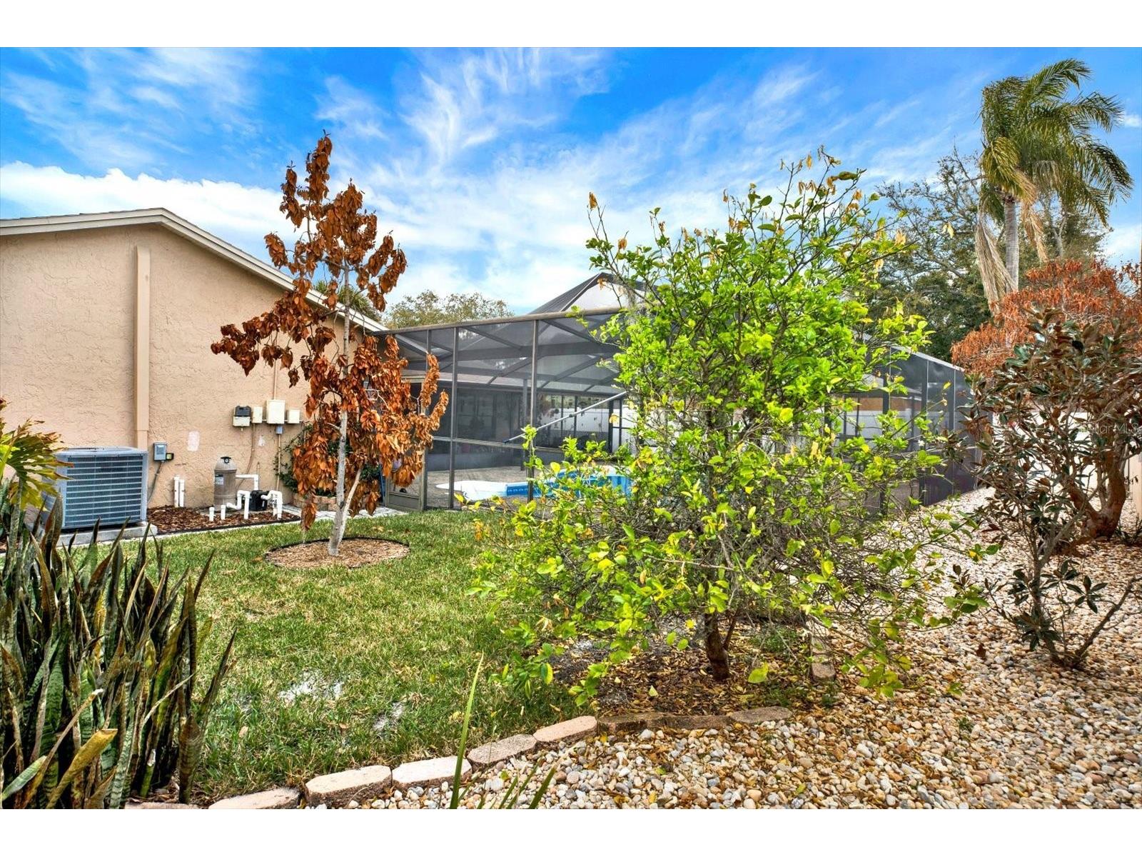 729 Sandy Creek Drive Brandon FL 33511 TB8478796 image30