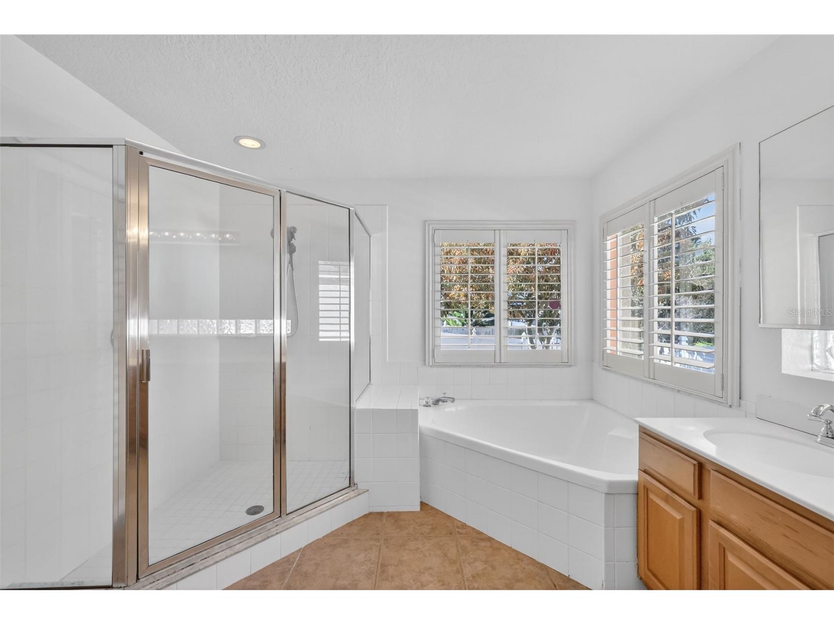 729 Strihal Loop Oakland FL 34787 O6381069 image30