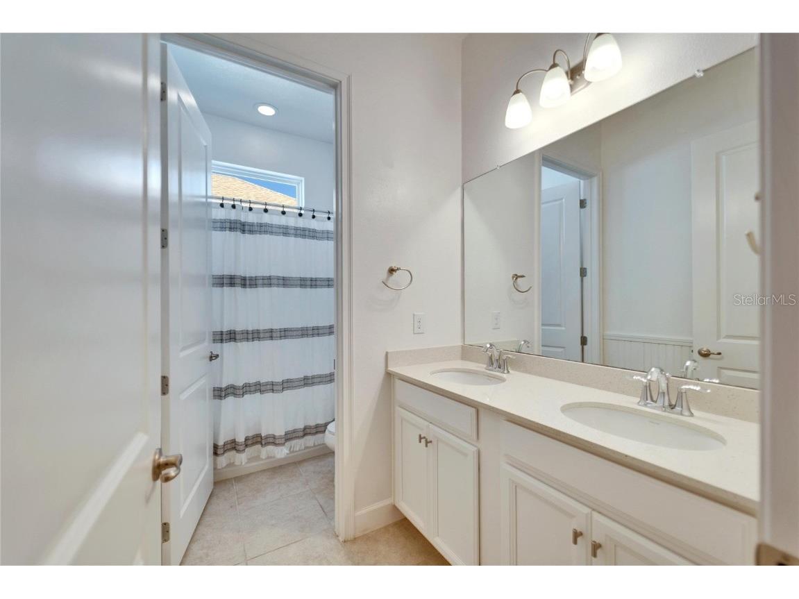 729 Winterside Drive Apollo Beach FL 33572 TB8352194 image23