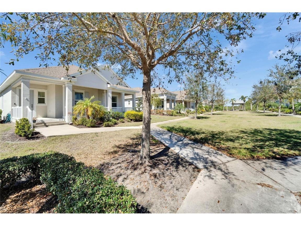 729 Winterside Drive Apollo Beach FL 33572 TB8352194 image49