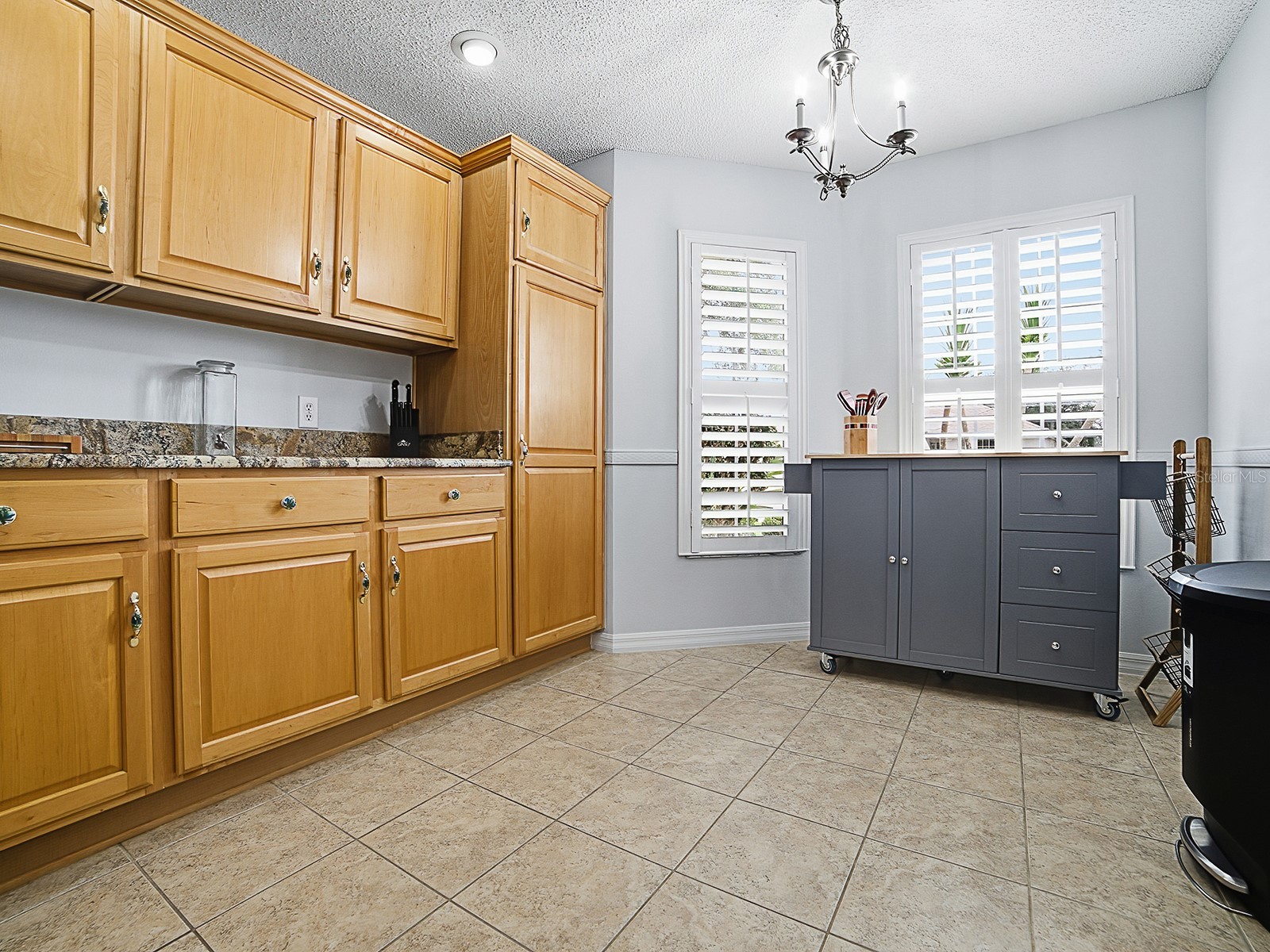 7290 SE 172nd Legacy Lane The Villages FL 32162 G5113376 image6