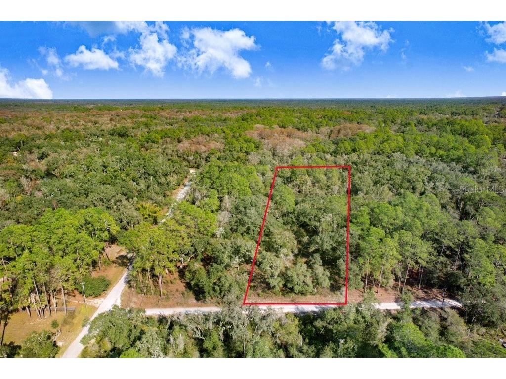 7292 Sonia Avenue Webster FL 33597 TB8454400 image1