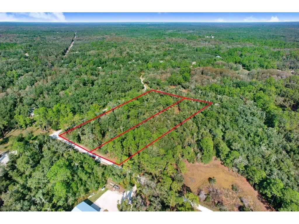 7292 Sonia Avenue Webster FL 33597 TB8454400 image10