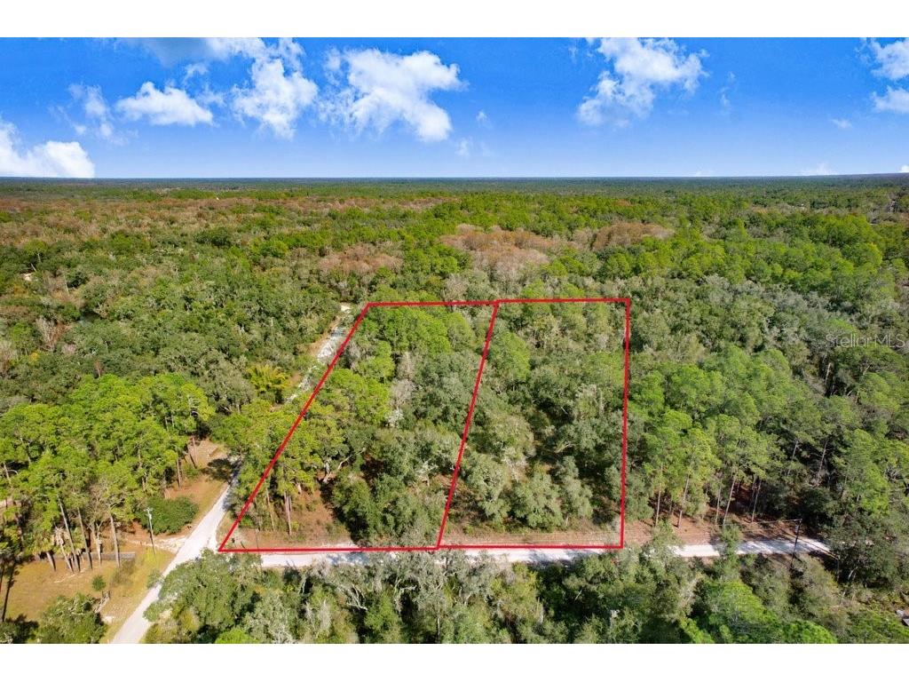 7292 Sonia Avenue Webster FL 33597 TB8454400 image2