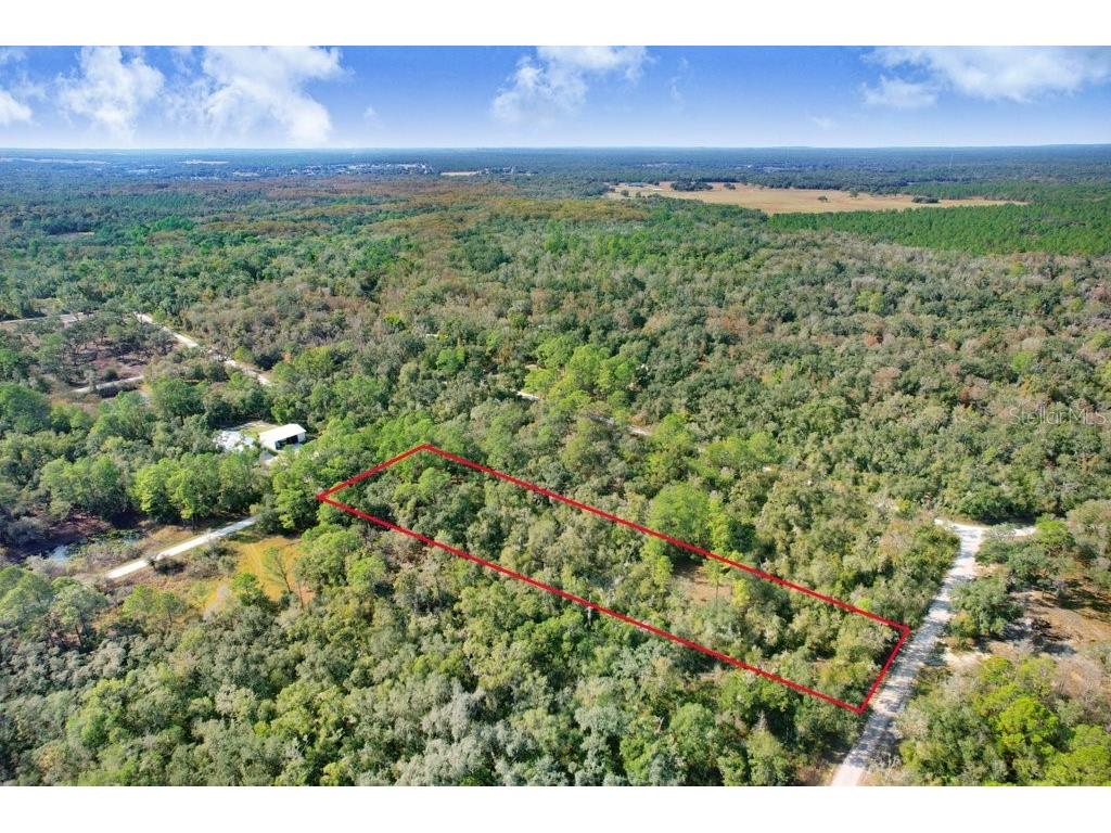 7292 Sonia Avenue Webster FL 33597 TB8454400 image3