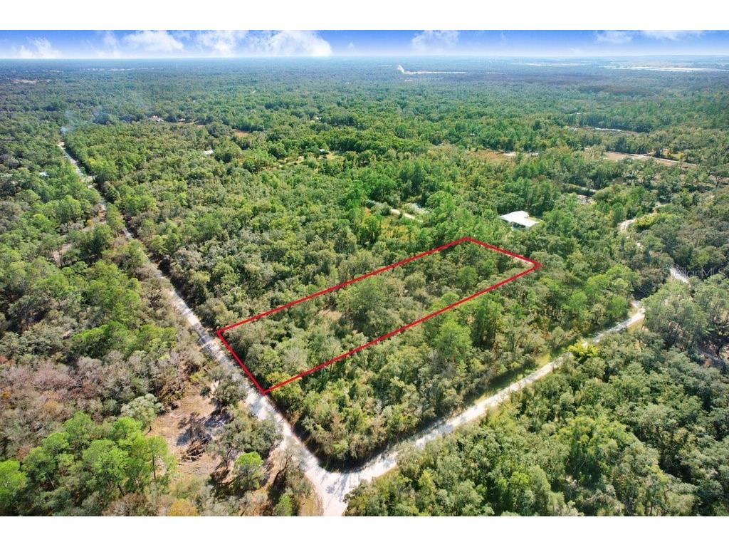 7292 Sonia Avenue Webster FL 33597 TB8454400 image5