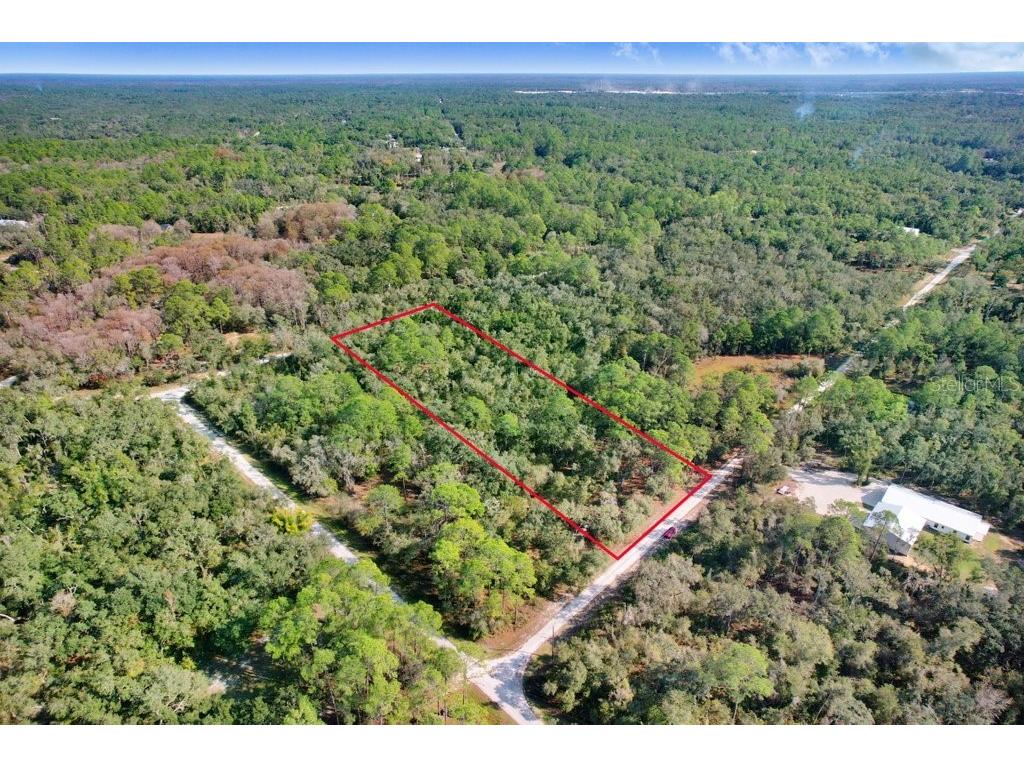 7292 Sonia Avenue Webster FL 33597 TB8454400 image7