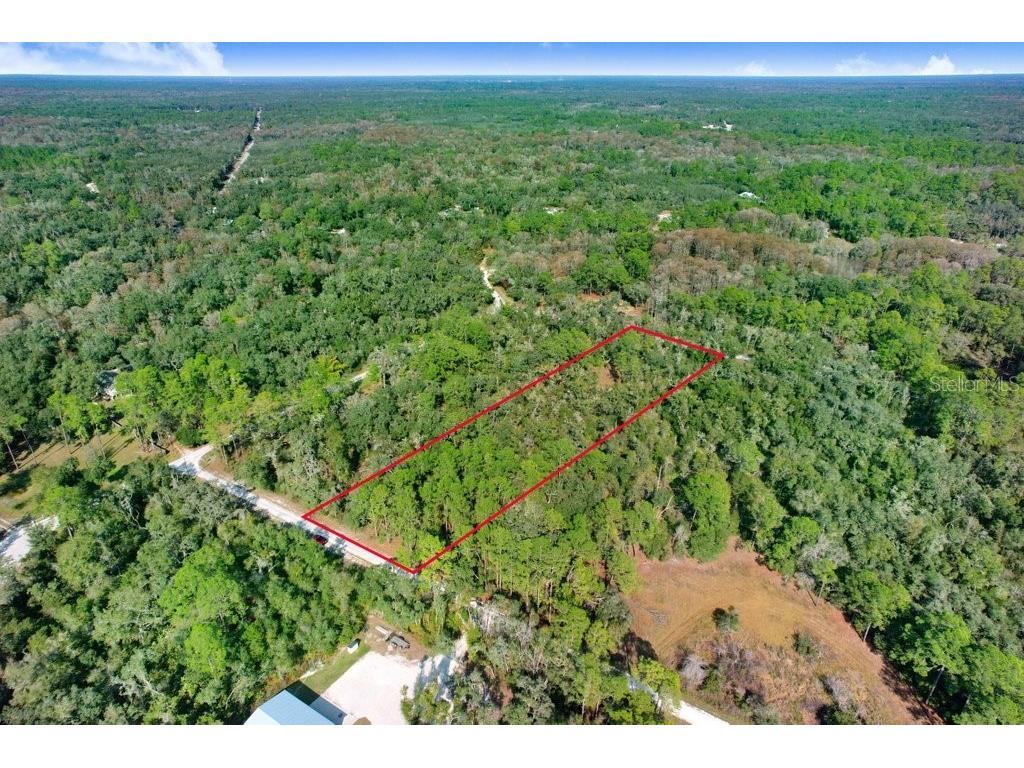 7292 Sonia Avenue Webster FL 33597 TB8454400 image9