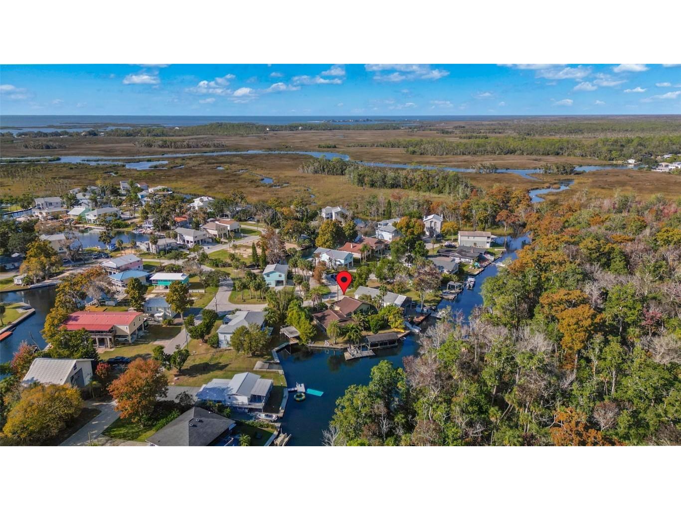 7294 Sunfish Circle Weeki Wachee FL 34607 TB8451074 image10