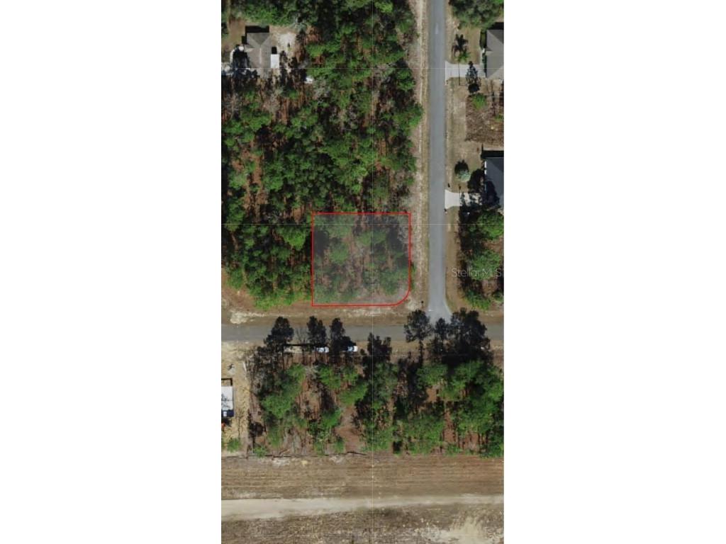 7295 N Glenridge Circle Citrus Springs FL 34434 O6233820 image1