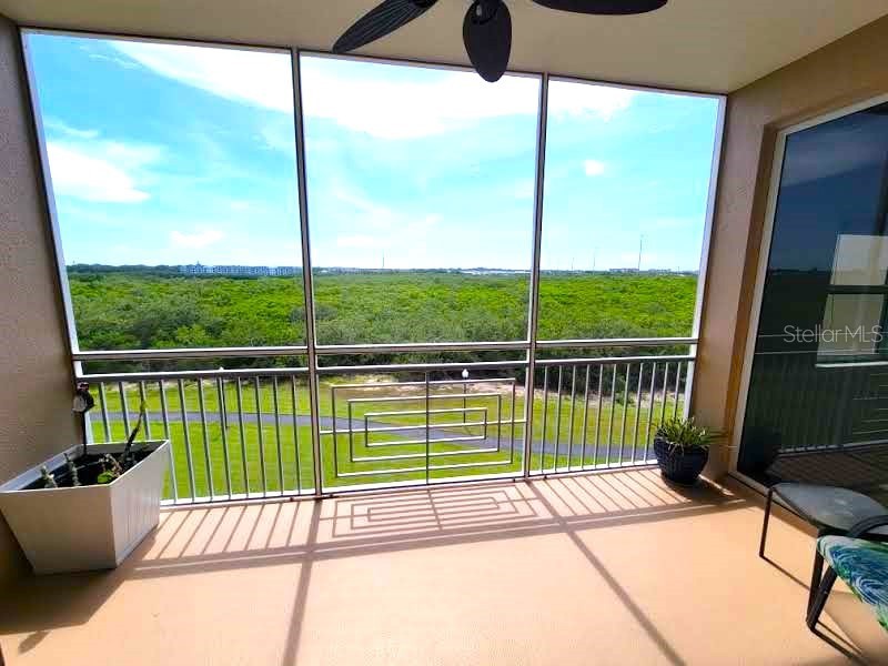 7296 Marathon Drive #404 Seminole FL 33777 - LONG BAYOU TB8512263 image39