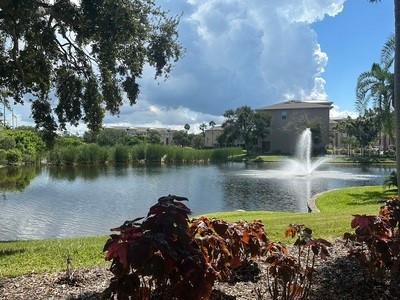 7296 Marathon Drive #406 Seminole FL 33777 - LONG BAYOU TB8431439 image92