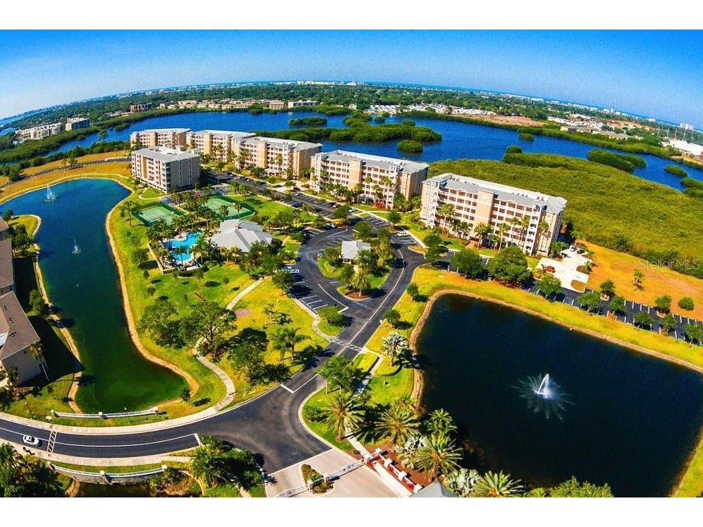 7296 Marathon Drive #502 Seminole FL 33777 U8192157 image1