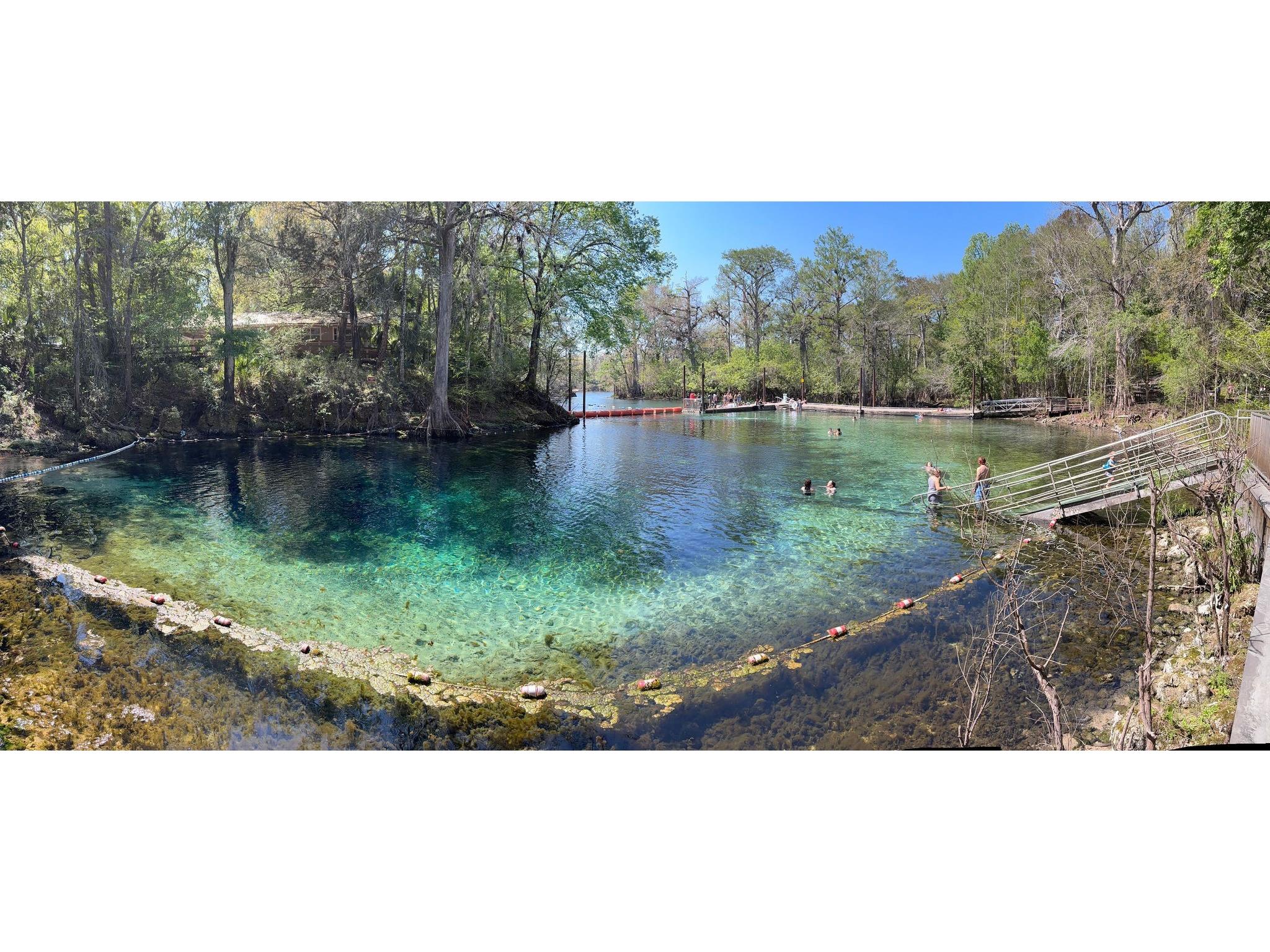 7296 NW 170th Street Trenton FL 32693 W7884450 image4