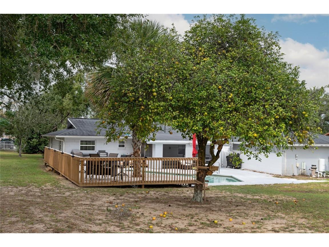 73 Abrams Road Eustis FL 32726 O6357574 image34