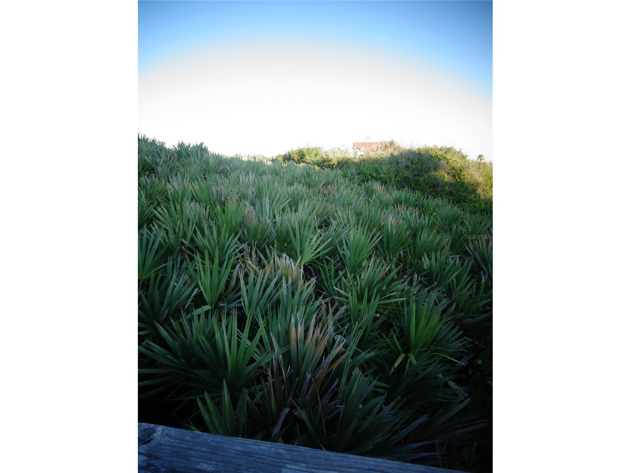 73 Calle Del Sur #LOT 50 Palm Coast FL 32137 A4694741 image16