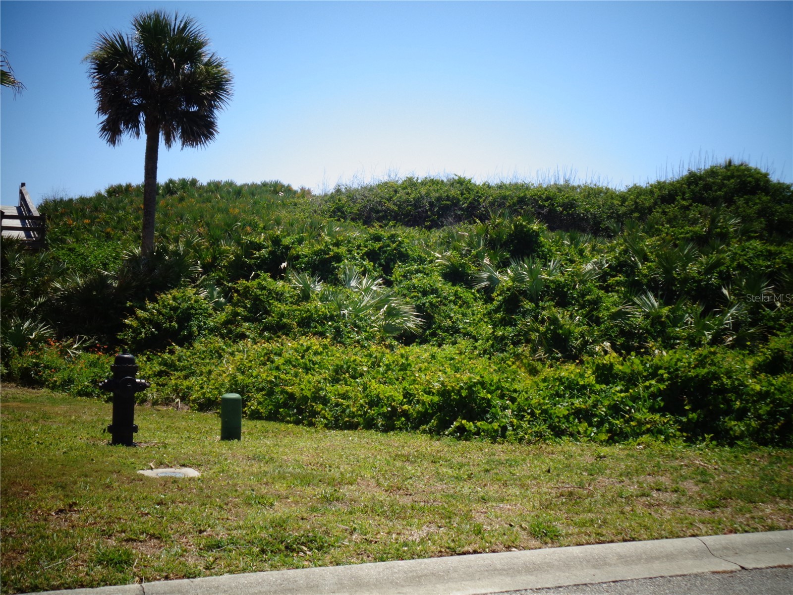 73 Calle Del Sur #LOT 50 Palm Coast FL 32137 A4694741 image19