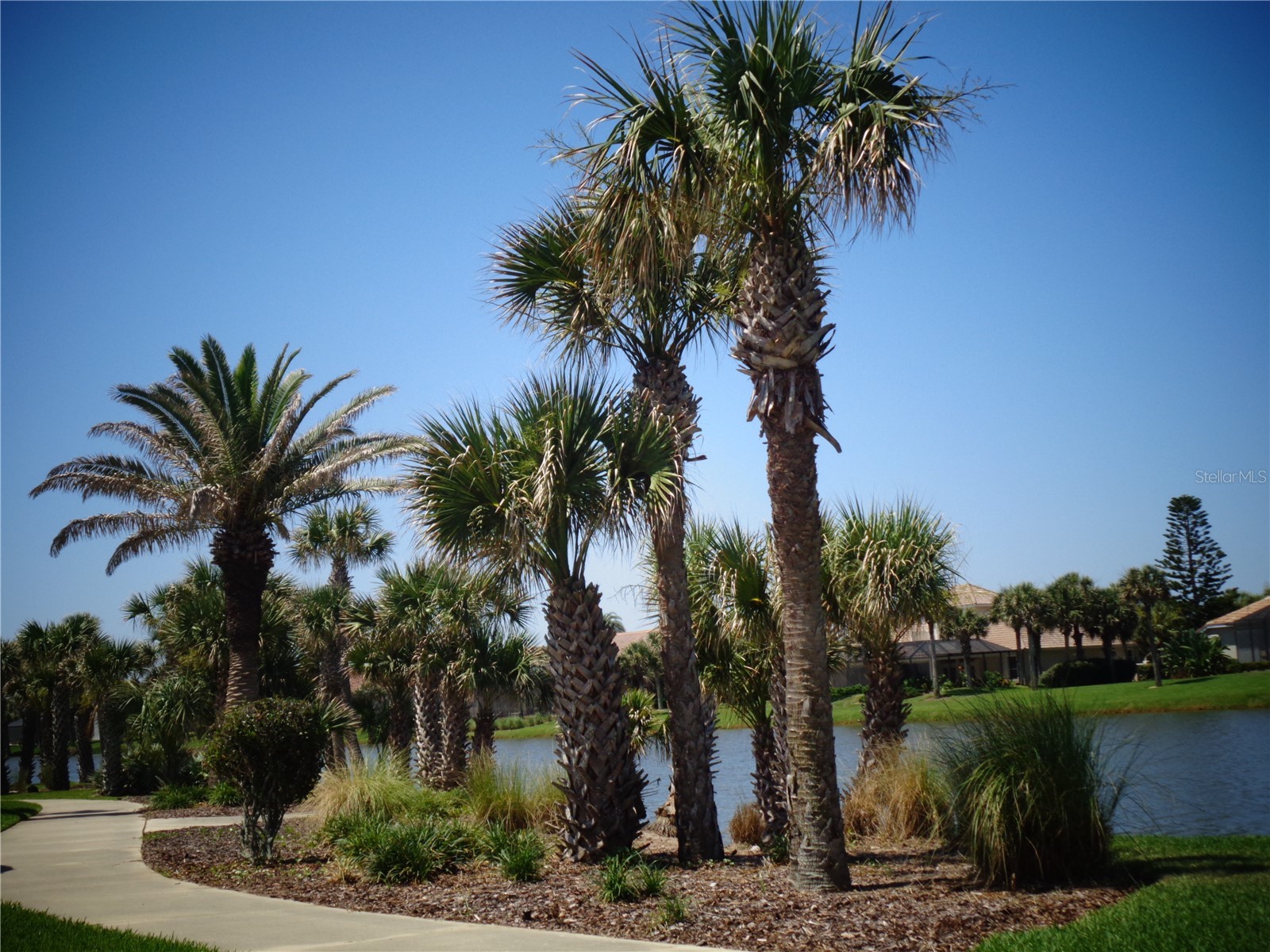 73 Calle Del Sur #LOT 50 Palm Coast FL 32137 A4694741 image22