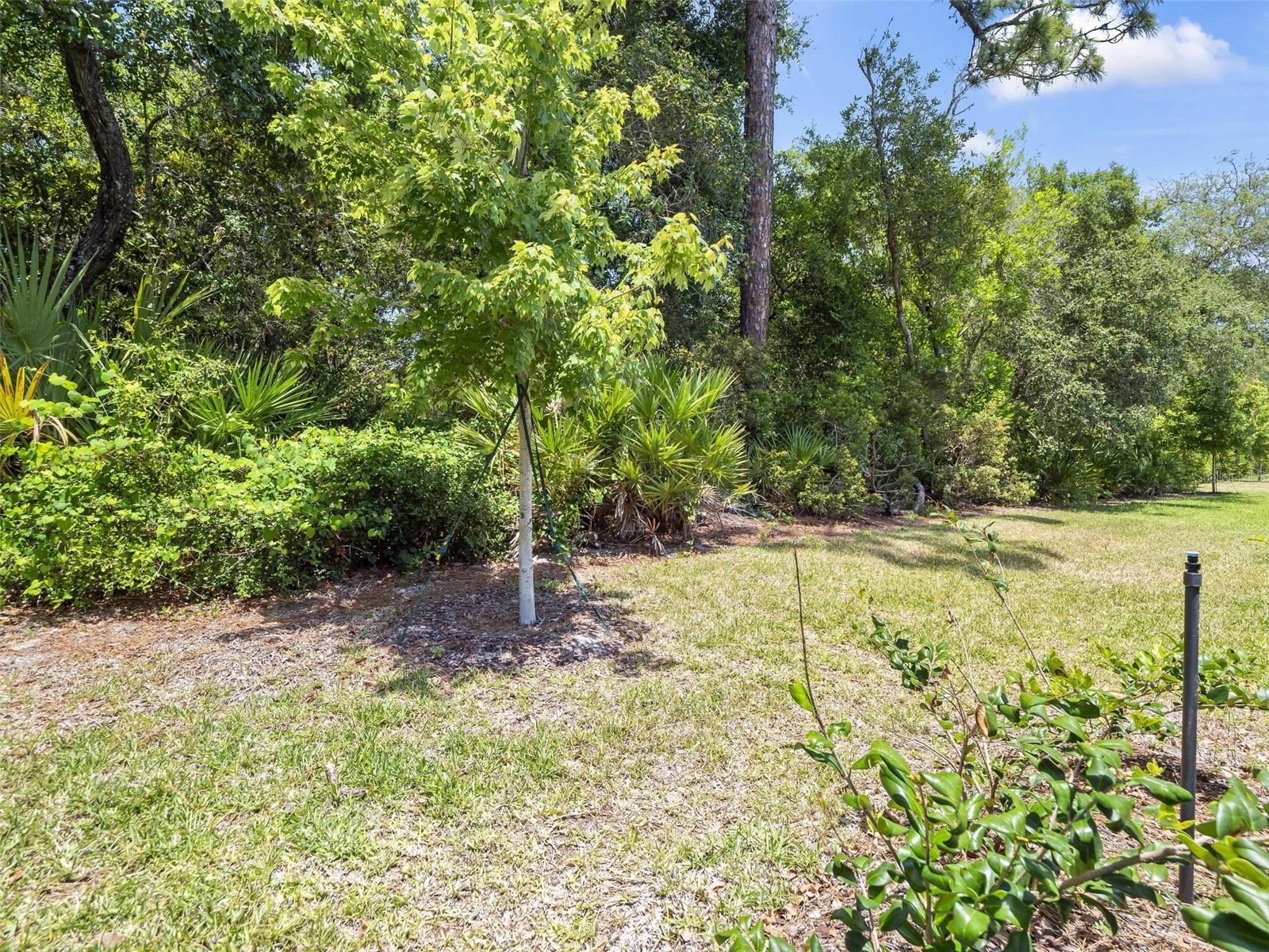 73 Moana Court Palm Coast FL 32137 FC318192 image25