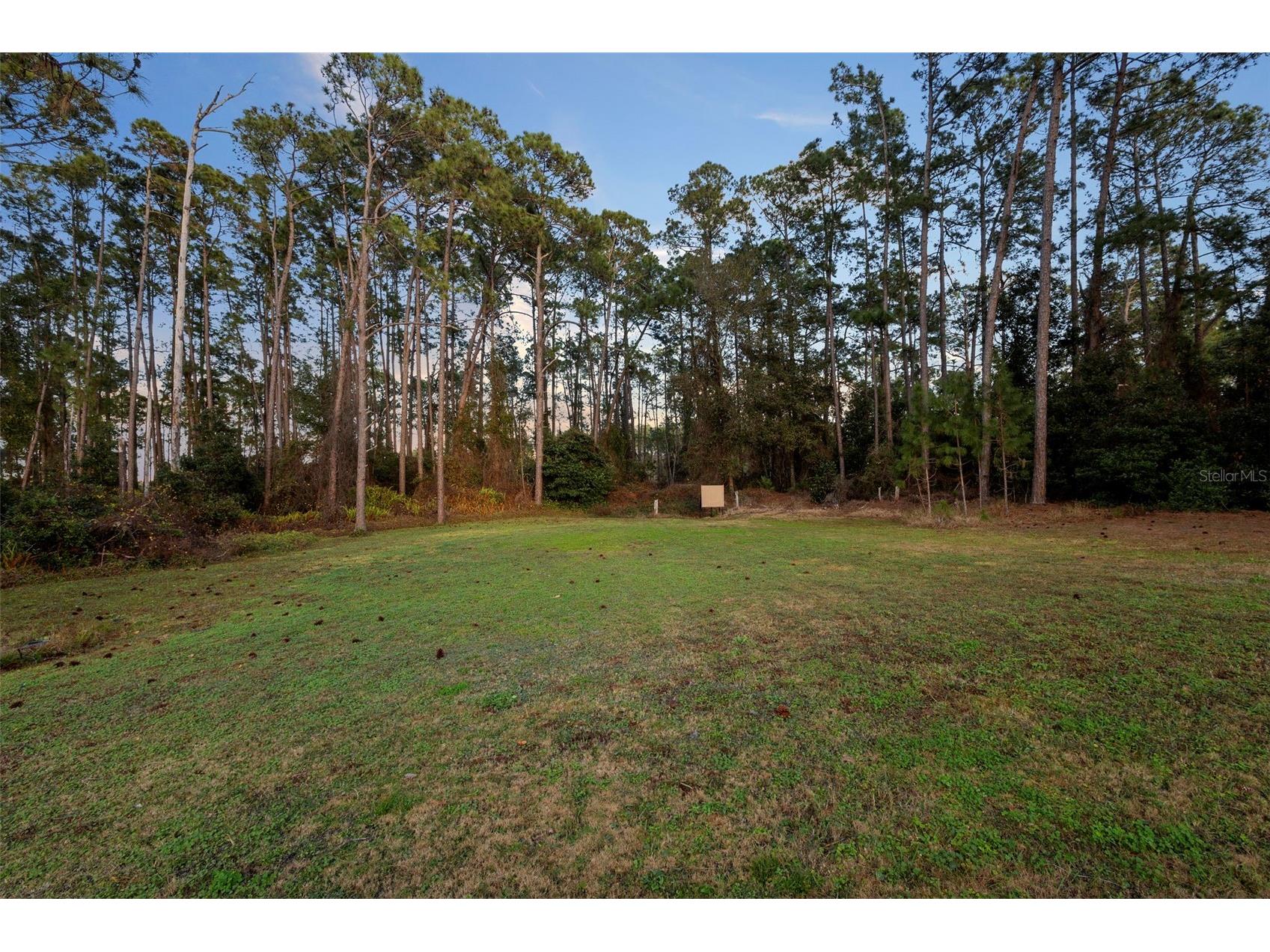 73 Sanctuary Avenue Debary FL 32713 V4946969 image57