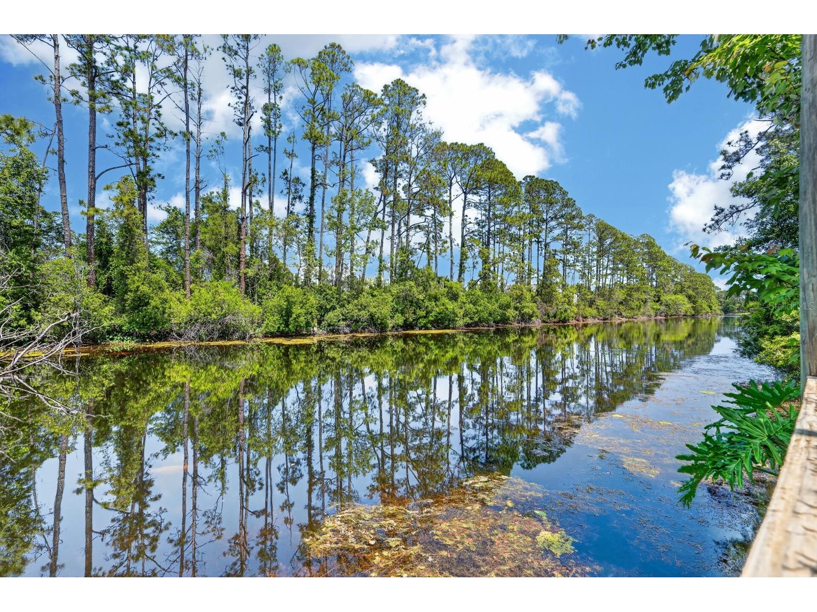 73 Wentworth Lane Palm Coast FL 32164 FC318053 image37