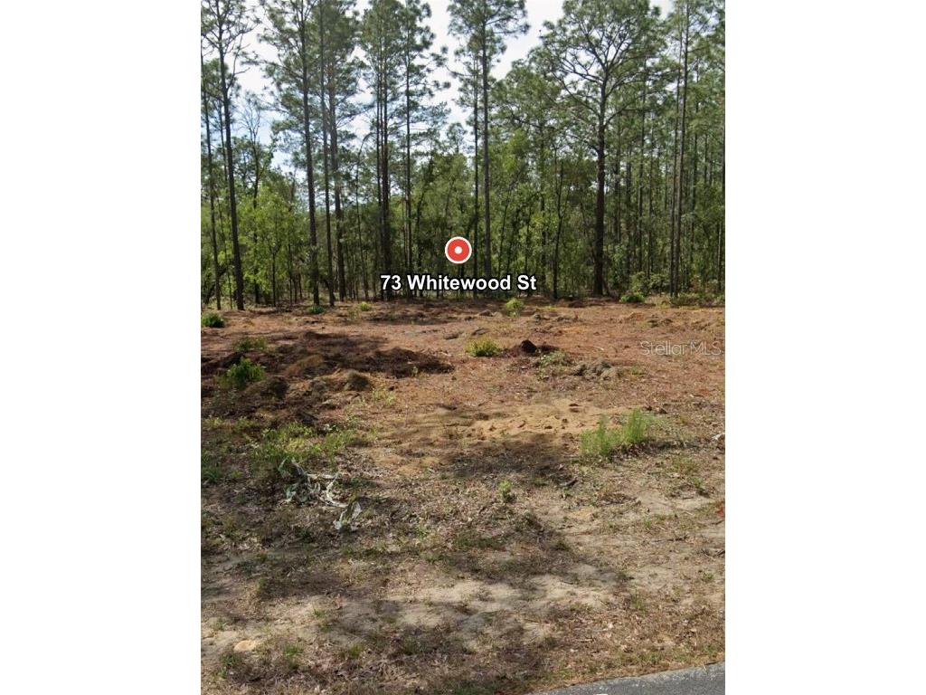 73 Whitewood Street Homosassa FL 34446 W7877142 image1