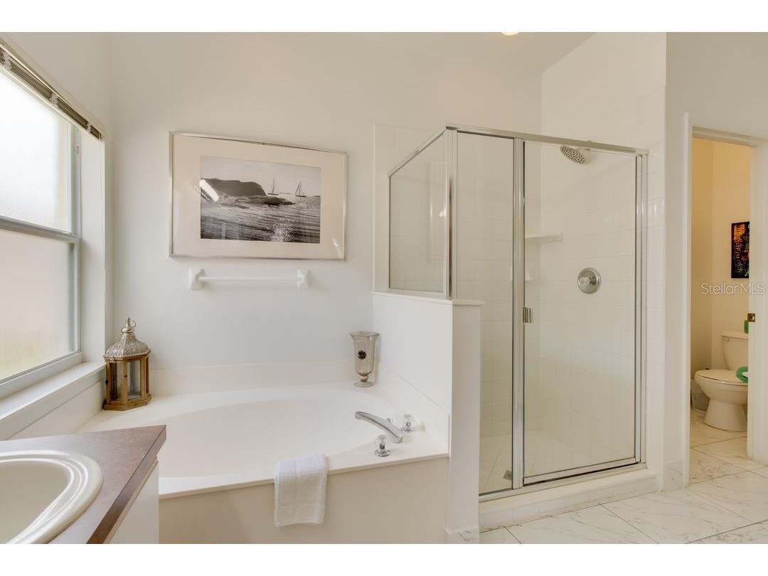 730 Bloomingdale Dr Davenport FL 33897 A4689322 image19