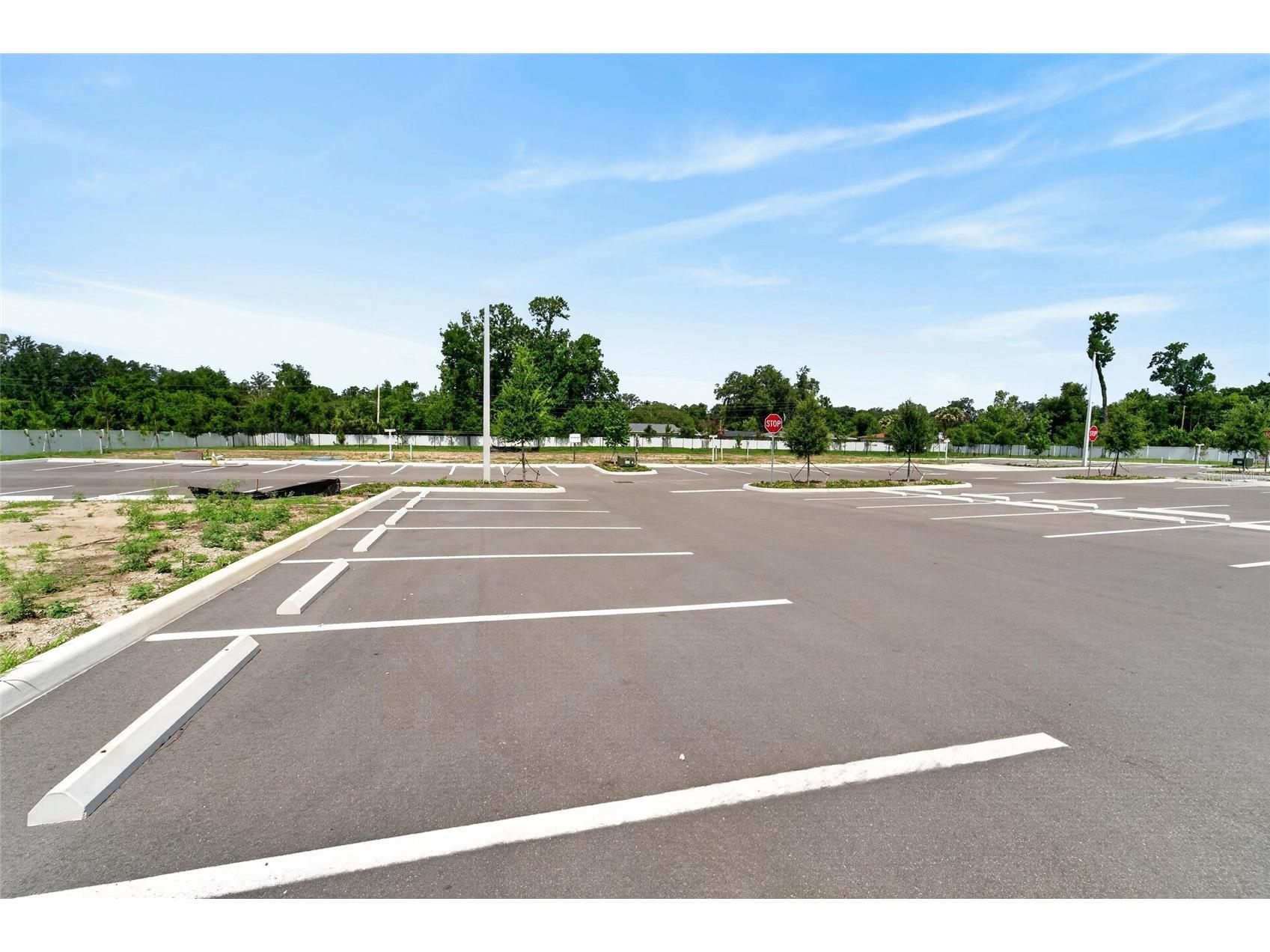 730 Cactus Ridge Circle #A Seffner FL 33584 TB8509574 image44