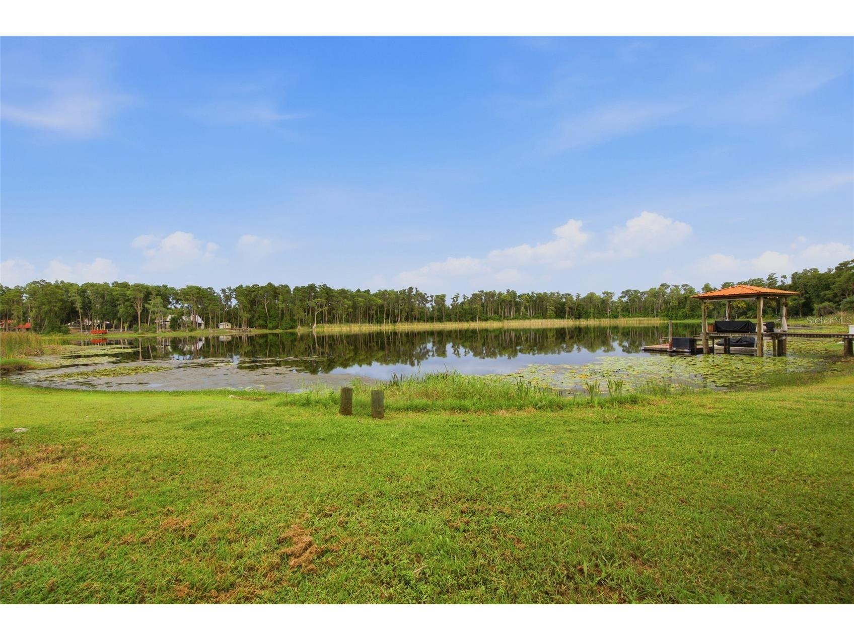 730 Crystal Lake Rd Lutz FL 33548 - SOUTH CRYSTAL LAKE TB8525294 image41