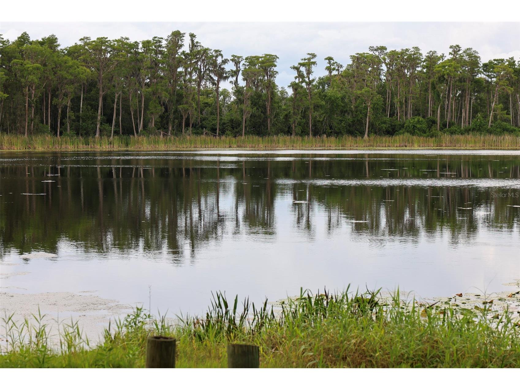 730 Crystal Lake Rd Lutz FL 33548 - SOUTH CRYSTAL LAKE TB8525294 image45