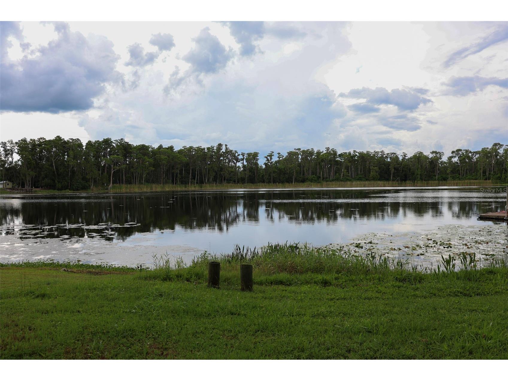 730 Crystal Lake Rd Lutz FL 33548 - SOUTH CRYSTAL LAKE TB8525294 image46
